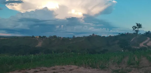 Fazenda / Sítio / Chácara com 3 Quartos à venda, 14000m² no , Brasília