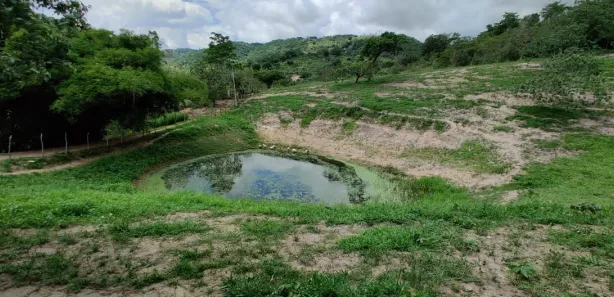 Fazenda / Sítio / Chácara com 3 Quartos à venda, 100000m² no Área Rural de Vitória do Santo Antão, Vitória de Santo Antão