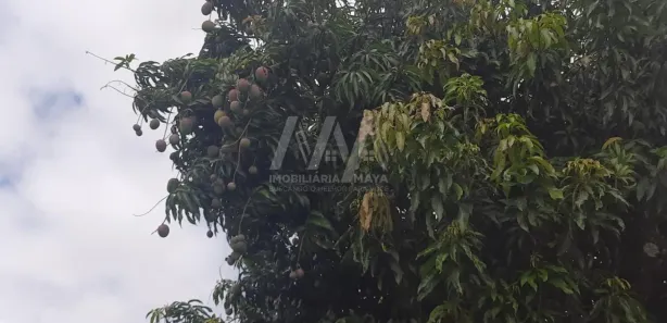 Fazenda / Sítio / Chácara com 2 Quartos à venda, 125m² no Parque Monte Bianco, Araçoiaba da Serra