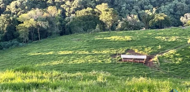 Fazenda / Sítio / Chácara com 3 Quartos à venda, 30250m² no , Guaraniaçu