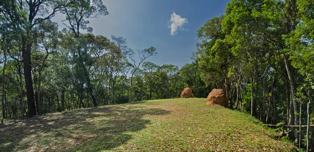 Fazenda / Sítio / Chácara com 3 Quartos à venda, 80000m² no Visconde de Mauá, Resende