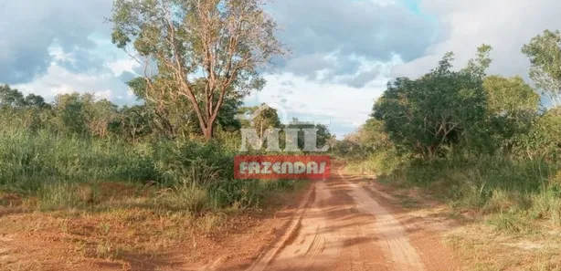 Fazenda / Sítio / Chácara à venda, 500m² no , Guaraí