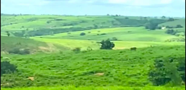 Fazenda / Sítio / Chácara à venda, 1360000m² no Centro, Nossa Senhora das Dores