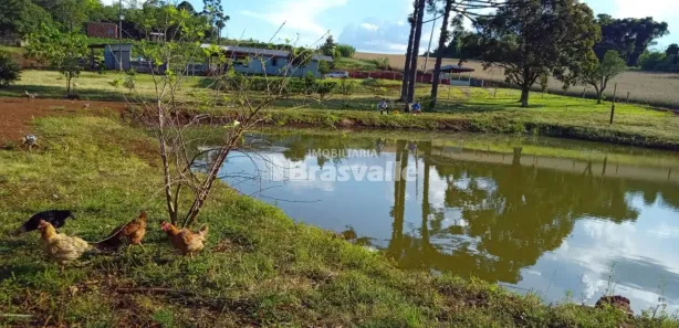 Fazenda / Sítio / Chácara à venda, 10000m² no São Salvador, Cascavel