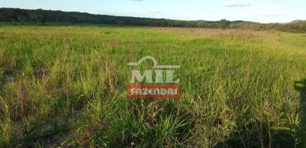 Fazenda / Sítio / Chácara à venda, 658000000m² no Setor Central, Ponte Alta do Tocantins