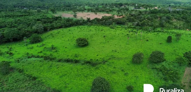Fazenda / Sítio / Chácara à venda, 304m² no , Paraíso do Tocantins