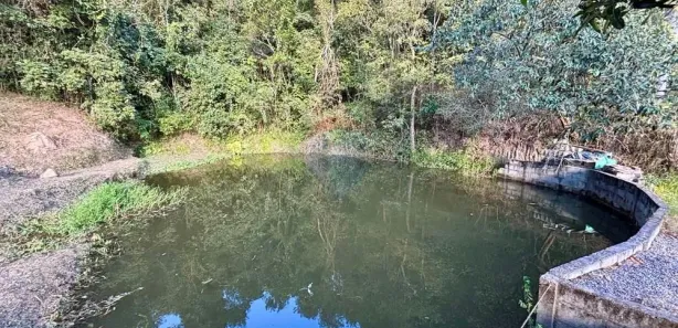 Fazenda / Sítio / Chácara com 3 Quartos à venda, 20000m² no Usina, Atibaia