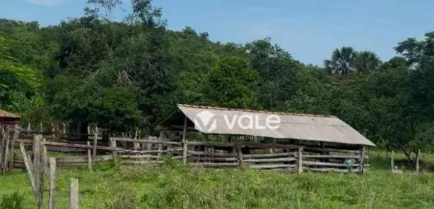 Fazenda / Sítio / Chácara com 3 Quartos à venda, 474m² no Centro, Paraíso do Tocantins