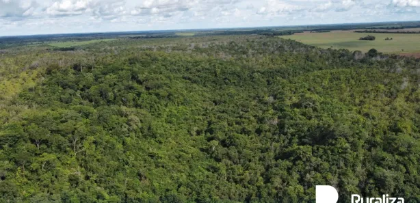 Fazenda / Sítio / Chácara à venda, 653m² no , Rio Sono