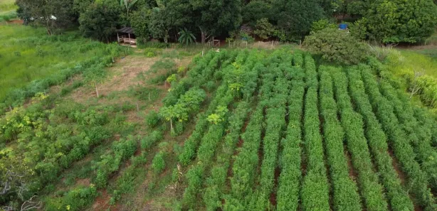 Fazenda / Sítio / Chácara com 2 Quartos à venda, 24000m² no , Brasília