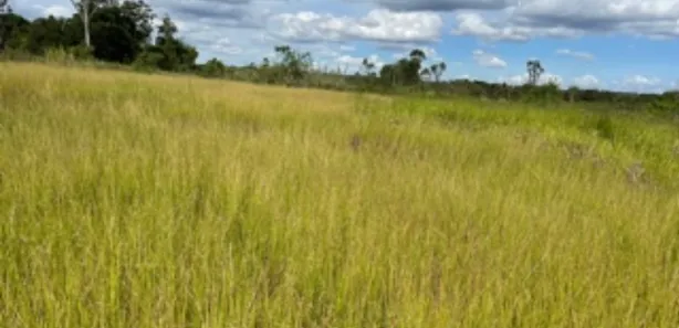 Terreno / Lote / Condomínio à venda, 20000m² no Park Way, Brasília