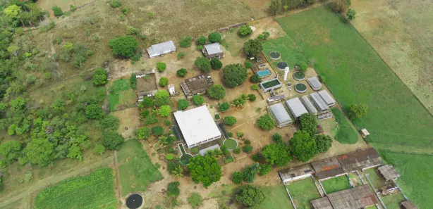 Fazenda / Sítio / Chácara com 4 Quartos à venda, 70000m² no Mansões de Recreio Estrela Dalva VII-A, Novo Gama
