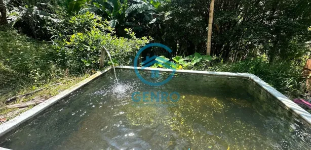 Fazenda / Sítio / Chácara com 4 Quartos à venda, 6000m² no Centro, São João Batista