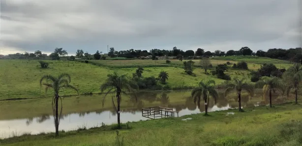Terreno / Lote / Condomínio à venda, 1000m² no Jardim das Palmeiras, Capim Branco