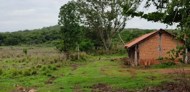 com 1 Quarto à venda, 320m² no , Pedro Afonso