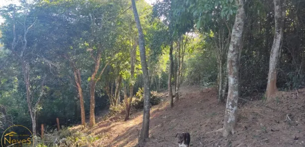 Terreno / Lote / Condomínio à venda, 486m² no Barão de Javary, Miguel Pereira