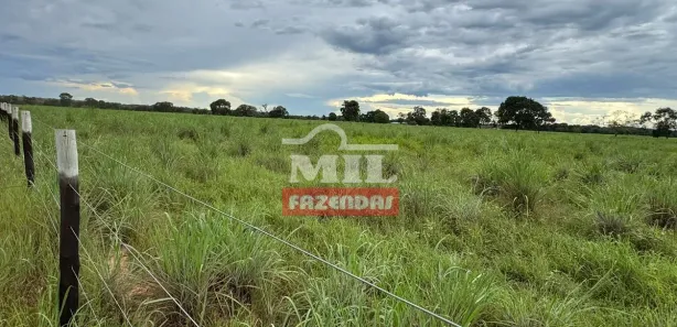 Fazenda / Sítio / Chácara à venda, 500m² no , Formoso do Araguaia
