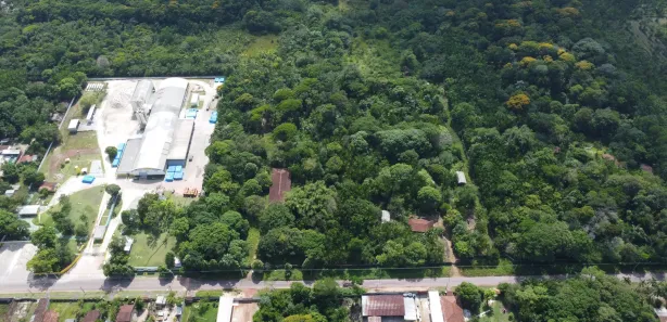 Terreno / Lote / Condomínio à venda, 20000m² no Benevides, Benevides