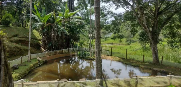 Fazenda / Sítio / Chácara com 2 Quartos à venda, 210m² no Centro, Juquitiba