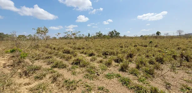 Fazenda / Sítio / Chácara com 3 Quartos à venda, 170000m² no , Padre Bernardo