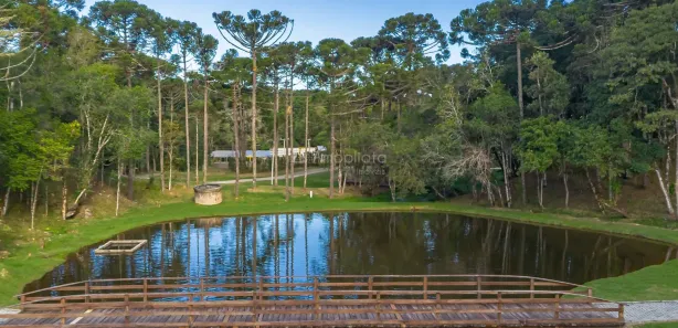 Fazenda / Sítio / Chácara à venda, 26000m² no Centro, Campina Grande do Sul