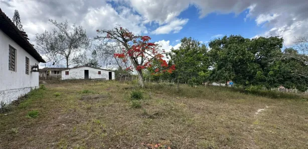 Fazenda / Sítio / Chácara com 4 Quartos à venda, 4981m² no Área Rural de Gravatá, Gravatá