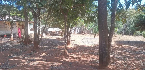 Fazenda / Sítio / Chácara com 3 Quartos à venda, 210m² no Setor Habitacional Fercal, Brasília