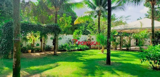 Fazenda / Sítio / Chácara com 3 Quartos à venda, 2000m² no Glicério, Macaé