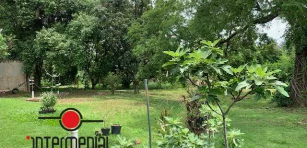 Fazenda / Sítio / Chácara com 6 Quartos à venda, 327m² no Jardim Valparaíso, Boituva