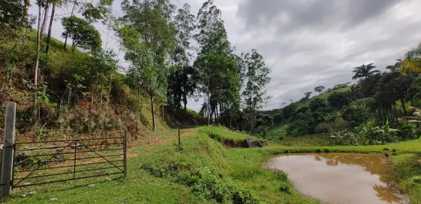 Fazenda / Sítio / Chácara com 4 Quartos à venda, 360000m² no Nossa Senhora do Amparo, Barra Mansa