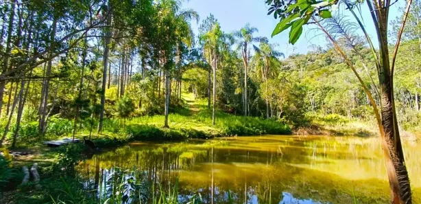 Fazenda / Sítio / Chácara com 4 Quartos à venda, 114500m² no Sao Lourenco, Juquitiba