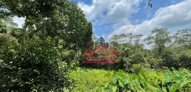 Fazenda / Sítio / Chácara à venda, 12000m² no Santa Cruz, São Bernardo do Campo