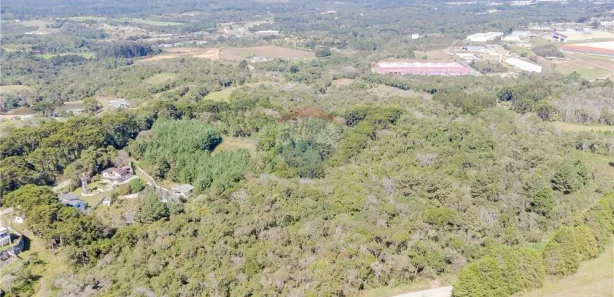 Terreno / Lote / Condomínio com 1 Quarto à venda, 20000m² no Centro, Campina Grande do Sul