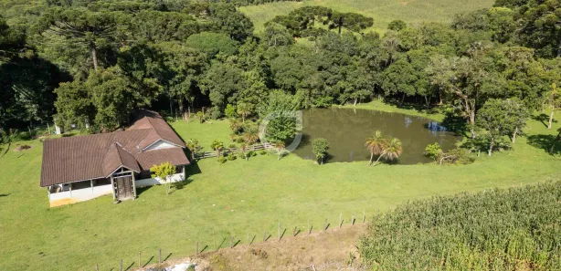 Fazenda / Sítio / Chácara com 3 Quartos à venda, 242000m² no , Campina Grande do Sul