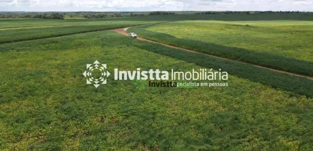 Fazenda / Sítio / Chácara à venda, 2154m² no , Pedro Afonso