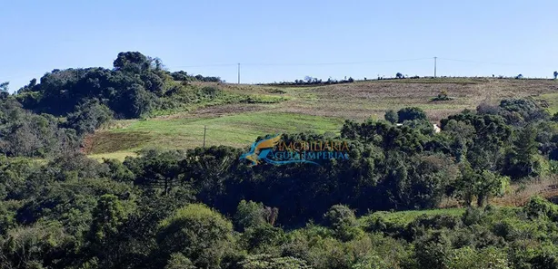 Fazenda / Sítio / Chácara com 5 Quartos à venda, 140360m² no , Guaraniaçu