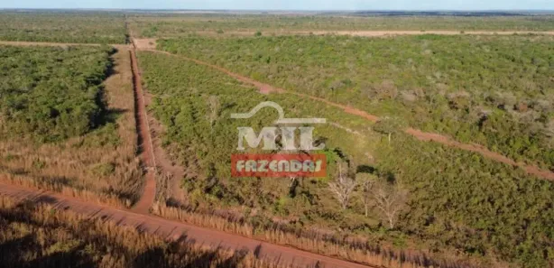 Fazenda / Sítio / Chácara à venda, 500m² no , Pium