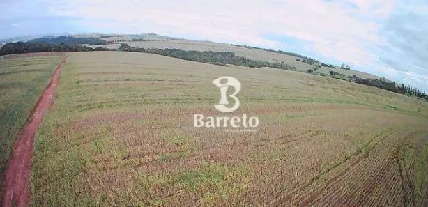 Terreno / Lote / Condomínio à venda, 242000m² no Centro, Bela Vista do Paraíso