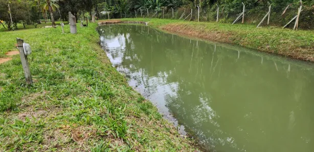 Fazenda / Sítio / Chácara com 2 Quartos à venda, 20459m² no , Antonina