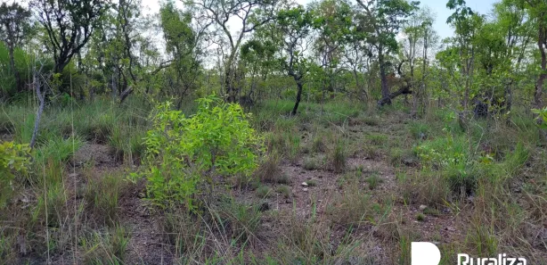Fazenda / Sítio / Chácara à venda, 445m² no , Rio Sono