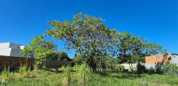 Terreno / Lote / Condomínio à venda, 2000m² no Jauá (Abrantes), Camaçari