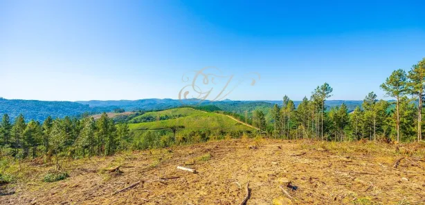 Fazenda / Sítio / Chácara com 1 Quarto à venda, 2693786m² no Centro, Campo Largo