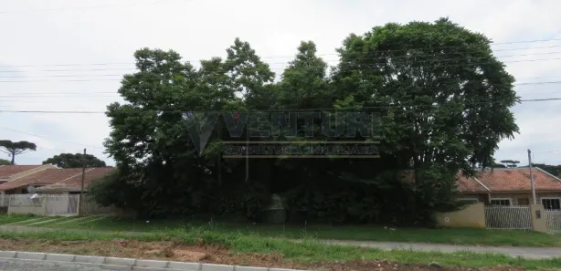 Fazenda / Sítio / Chácara à venda, 1900m² no Del Rey, São José dos Pinhais