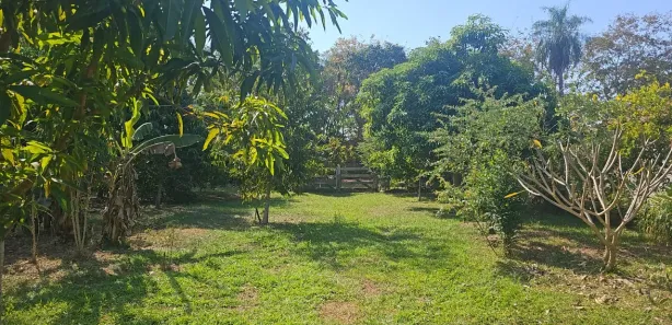 Fazenda / Sítio / Chácara com 2 Quartos à venda, 2766m² no , Aquidauana