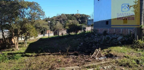Galpão / Depósito / Armazém à venda, 280m² no Rondinha, Campo Largo