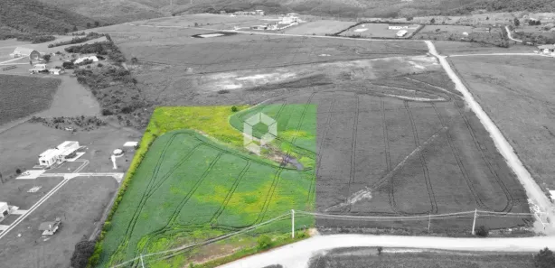 Terreno / Lote / Condomínio à venda, 20026m² no São Luiz do Purunã, Balsa Nova