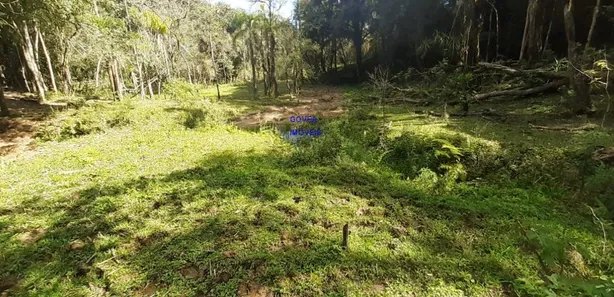 Fazenda / Sítio / Chácara com 3 Quartos à venda, 24200m² no , Contenda