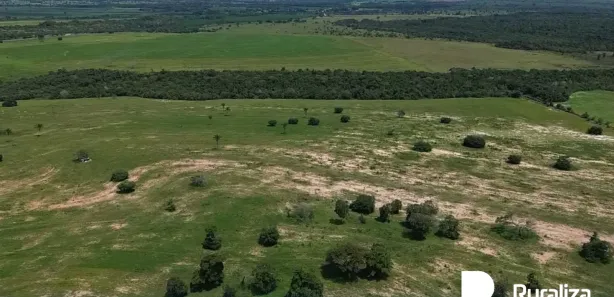 Fazenda / Sítio / Chácara à venda, 3547m² no , Guaraí