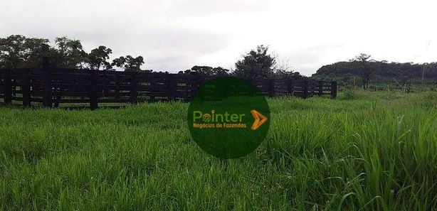 Fazenda / Sítio / Chácara à venda, 3660000m² no , Pedro Afonso