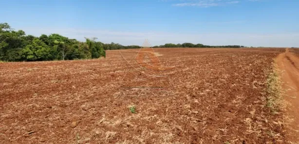 Fazenda / Sítio / Chácara com 1 Quarto à venda, 1452000m² no Jardim Quitandinha, Araraquara